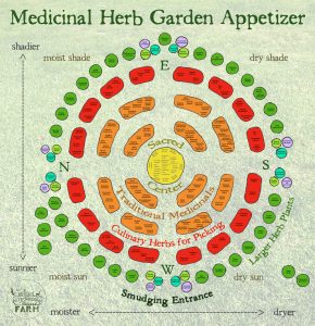 Conception de jardin de plantes médicinales